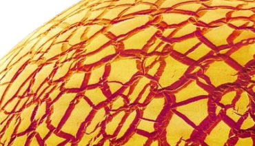 ANCORA: colle collanti e adesivi nei tempi e nella storia